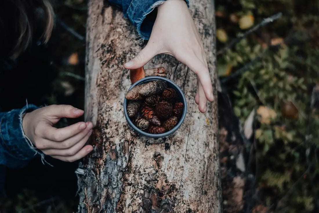 autumn cocktail