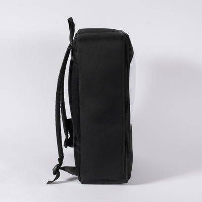 Picnic Bag