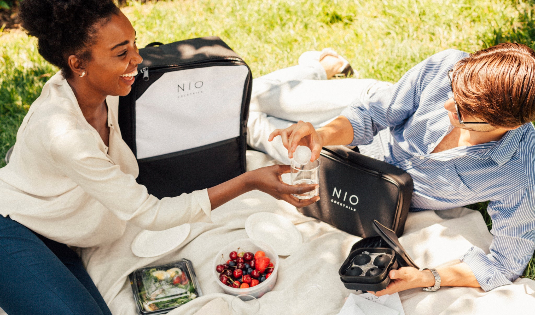 Picnic Bag