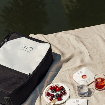 Picnic Bag
